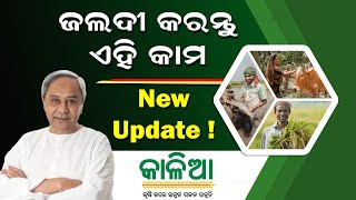 Kalia Yojana New Update Today  Kalia Yojana Online Apply Last Date 2023  Kalia Yojana New List [upl. by Milinda218]