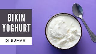 Cara Membuat Yogurt Sendiri Di Rumah DIJAMIN BERHASIL [upl. by Chuu931]