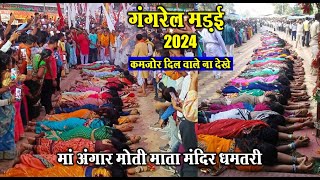 गंगरेल मड़ई 2024 Gangrel madai 2024  Angar Moti Mandir Dhamtari  Gangrel Dam  Santu Dhurwe Vlogs [upl. by Acker]