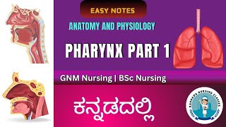 Anatomy and Physiology of Pharynx Part 1  Anatomy And Physiology In Kannada [upl. by Ahsennek]