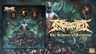 Ingested  The Divine Right Of Kings  NewSong2015 [upl. by Sapphire313]