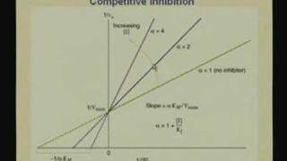 Lecture  9 Enzymes III [upl. by Jt]