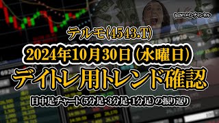 20241030 ：テルモ4543T 日中足株価チャート（５分足・３分足・１分足） [upl. by Irved742]