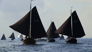 Botter Bedrijvenwedstrijd Elburg 2016  LOE TV Elburg [upl. by Atnovart]