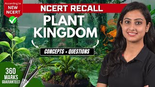 Plant Kingdom  Concepts  Questions  NCERT RECALL  NEET 2024 [upl. by Acinat]