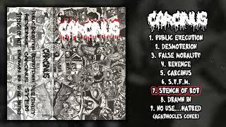 Carcinus  st MC FULL DEMO 2022  Grindcore  Mincecore [upl. by Vigen]