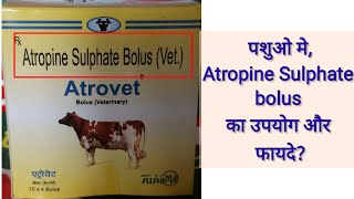 Atropine Sulphate bolus uses details in hindifood poisoning in cattle [upl. by Read215]