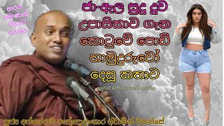 ජා ඇල quotසුදු දුවquot ගැන Kotuwe Podi Hamuduruwo කියපු හිනායන කතාව කොටුවේ පොඩි සාදු Kagama Sirinanda [upl. by Anicart]