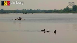 Belgian Limburg nature Belgisch Limburg natuur [upl. by Nothgiel59]