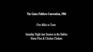 Five Miles to Town The Horseflies amp Chicken Chokers at the Galax Fiddlers Convention 1984 [upl. by Wareing]