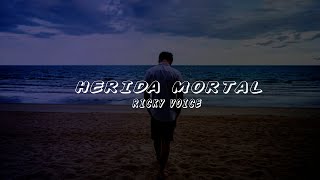 Ricky Voice Herida Mortal Bachata [upl. by Neliac]