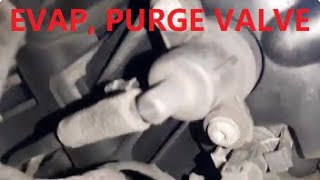 Annoying NOISE from EVAP valve CANISTER PURGE  Mercedes B gasoline but IT WORKS CORRECTLY [upl. by Kawai]