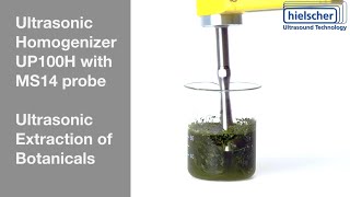 Ultrasonic Extraction of Bioactive Compounds Using a 100W Sonicator [upl. by Diego]