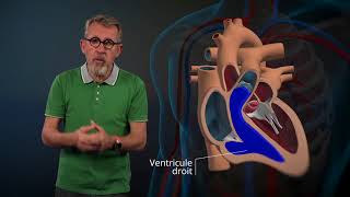 Le fonctionnement du cœur expliqué par Jamy [upl. by Danuloff]