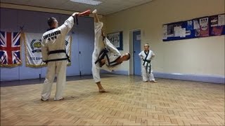 Soo Bahk Do  Tang Soo Do Kick Workout  Drills [upl. by Aoniak]