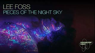 Lee Foss  Pieces of the Night Sky [upl. by Aelahs]