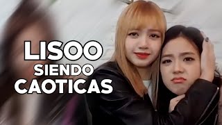 Lisa y Jisoo siendo un dúo caótico Sub español [upl. by Arayc]