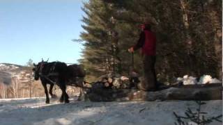 Plowden Horse Logging [upl. by Yenhpad771]