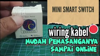 Mini smart switch mudah pemasangannya sampai online ferrydahriviewtutorialsmartswitch [upl. by Kcirtap]