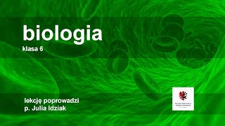 Biologia  klasa 6 SP Powtórzenie wiadomości na temat ptaków i ssaków [upl. by Nannah]