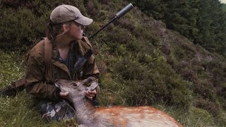 A Sika Staggie at Last Light  Scottish Deerstalking [upl. by Ahsikym]