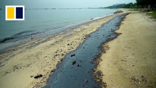 Singapore races to clean up oil spill on Sentosa island [upl. by Sudhir329]