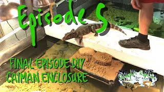 Huge Indoor Cuviers Dwarf Caiman Enclosure with Pond Build  Final Episode 5  DIY Build Tour [upl. by Shuping]