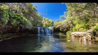 Nellies Glen Picnic Area in Budderoo National Park  SOUTHERN HIGHLAND NSW AU [upl. by Valentia275]