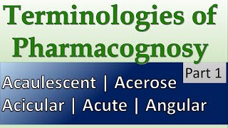 Acaulescent  Acerose  Acicular  Acute  Angular  Terminology in Pharmacognosy [upl. by Emlen]