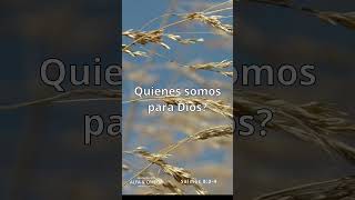 Quienes somos para Dios [upl. by Elgna102]