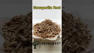 Sarsaparilla Root [upl. by Lah]