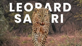 Indias BEST Leopard Safari Jhalana Leopard Reserve in Jaipur FULL Experience [upl. by Brecher]