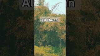 Surah sajda 32 Ayah 1517  in Urdu translation islamic viralvideo [upl. by Clair423]