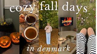 cozy fall days in denmark  carving pumpkins diy crafts  cooking [upl. by Ataymik]