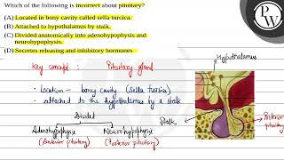 Which of the following is incorrect about pituitary 1 Located in bony cavity called sella tur [upl. by Aniela]