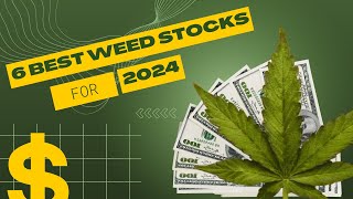 7 Best Cheap Marijuana Stocks For 2024 [upl. by Dorion843]