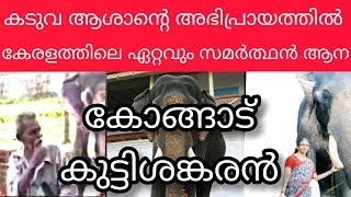 കോങ്ങാട് കുട്ടിശങ്കരൻ story  Kongad kuttysankaran story kuttisankaran Kongad Death Kuttishankaran [upl. by Briana]