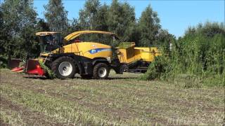 Hennep met OTP Echten hakselen en persen met New Holland [upl. by Ly]