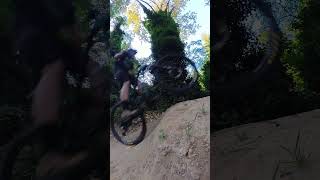 Norco Optic dirt jump [upl. by Fransisco]