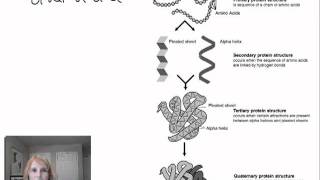 Protein Structure and Function  Part 1 [upl. by Willtrude14]