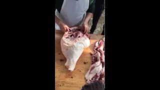 trimming a leg for culatello [upl. by Lareine]