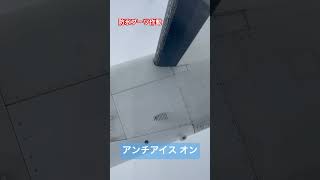 アンチアイスオン！ deicing boots 飛行機 ana プロペラ機 [upl. by Ydissac]