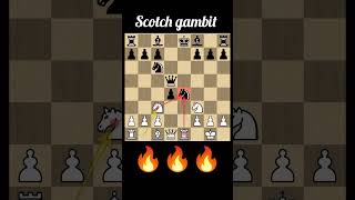 Scotch gambit part4 chess youtubeshorts chessopening chesstalkbangla [upl. by Katy]