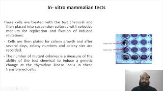 Genotoxicity and mutagenicity testing II Part 7 [upl. by Burnight838]