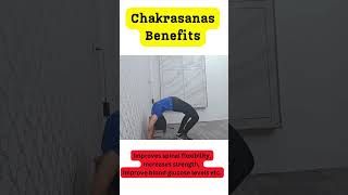 Standing Chakrasana for beginners  खड़े होकर चक्रासन का तरीका shorts ytshorts Dr Lavee [upl. by Alethia539]