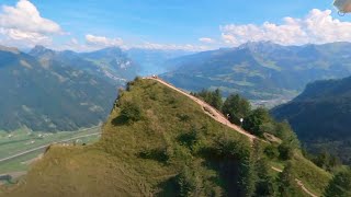 Swiss Alps Gliding Archaeopteryx meets hikers on Hirzli [upl. by Esaertal]