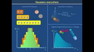 Probability 101e Stories that relate central limit theorem to physics and biology [upl. by Swan]