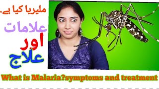 What Is Malaria Causes and Symptoms  treatment  by Anjum Shahzad [upl. by Gayl655]