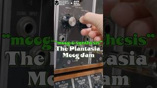 “MoogOSynthesis” The Plantasia Moog Jam ​⁠AlexBallMusic OUT NOW on Alex’s YouTube Channel [upl. by Attelrahs]