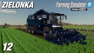 The Best Way To Harvest Carrots  Zielonka  Farming Simulator 22 Premium Edition  Ep12 [upl. by Sajovich]